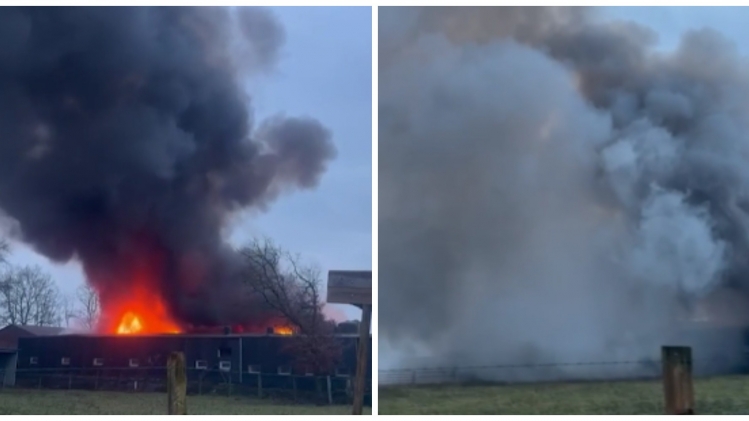 ipiccy_image - 2026-02-02T110147.581.jpg