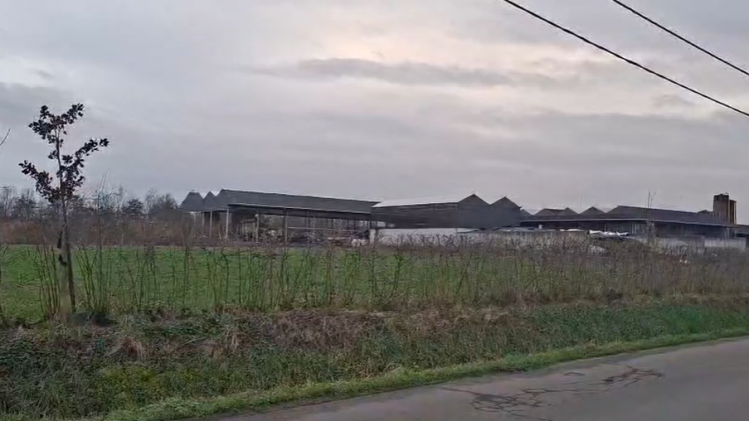 Capture d’écran 2026-02-20 174833.png