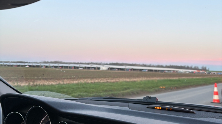 4eaeb6ac-3f32-6e46-23cd-7938d7b36f99-IMG_5442 (2).jpeg