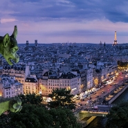 Vous faites peut-être partie du plus d'un million de passagers qui vont prendre l'avion pendant ces vacances de Pâques destination le soleil. Brussels Airport table sur une fréquentation record. Les tour-opérateurs enregistrent eux aussi un nombre de voyageurs en hausse.