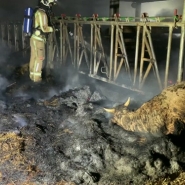 A Couvin, des vaches ont péri la nuit passée dans l'Incendie d'un hangar agricole. Les pompiers ont rapidement pu maîtriser les flammes, mais ils n'ont rien pu faire pour une vingtaine de bêtes. Plusieurs tracteurs ont aussi brûlés. Il s'agirait d'un accident. La police scientifique est descendue sur place. Des images de Benjamin Martinet.