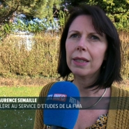 25% des éleveurs bovins ont disparu ces 10 dernières années. Le consommateur achète de plus en plus de la viande transformée et délaisse les bons morceaux de bœuf, ce qui a un impact sur le chiffre d'affaires des exploitations. Il mange aussi globalement moins de viande : 4,2 kg par an/habitant actuellement. Les coûts de production sont par ailleurs toujours plus élevés alors que les prix de vente continuent de baisser. Marie-Laurence Semaille, de la FWA, est au micro de Bernard Lobet.