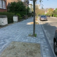 C'est une histoire belge comme on les aime… La commune de Schaerbeek s'est lancée dans la réfection des trottoirs de deux axes : l'avenue Eugène Demolder et l'avenue des Capucines. Mais les riverains ont relevé quelques anomalies. Exemple : une fosse d'arbre a été placée devant un garage, et une autre à près d’un mètre de l'arbre même.