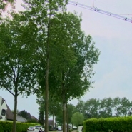 Un père de famille de 38 ans a vraisemblablement tué ses deux enfants avant de mettre fin à ses jours à Knokke, a indiqué dimanche la section brugeoise du parquet de Flandre occidentale.