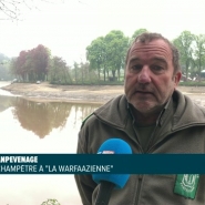 Deux opérations de sauvetage ont déjà été annulées. Une pêche au filet a été reprogrammée le 25 juin.
