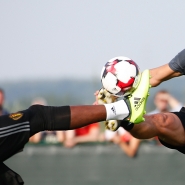 belgaimage-125566695-full