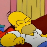 Homer
