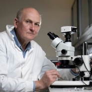 Pollution aux microplastiques : seulement la pointe de l'iceberg