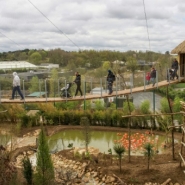 Le zoo de Beauval inaugure une volière présentée comme la plus grande d'Europe