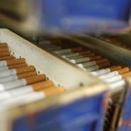 Le Conseil supérieur de la santé demande l'interdiction des filtres dans les cigarettes