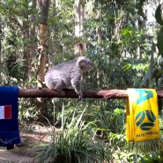 grab_20230811_104004_1