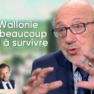 0wallonieconfederalismelouis_michelmagnettede_weverrtlinfo