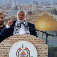 7cb0e42d-5ab9-458d-837f-5cdebebd80ba