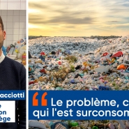 william-ramacciotti-illu-v2