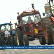 France, Allemagne, Pays-Bas, Roumanie,... La colère des agriculteurs fait rage dans plusieurs pays d'Europe. Le mouvement continue de s'étendre. Qu'en est-il de la Belgique ?