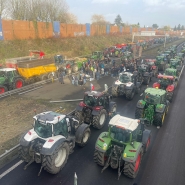 whatsapp_image_2024-01-24_at_16