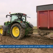 La semaine passée 1300 agriculteurs se sont donné rendez-vous à Bruxelles avec leur tracteur. Pendant ce temps, des barrages ont été organisés sur des axes importants, devant des centres de distribution. Aujourd'hui si le calme est revenu dans les rues, qu'en est-il dans les fermes?