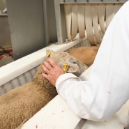 adobestock_512527074