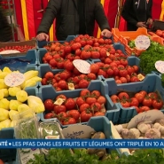 En Europe, de plus en plus de fruits et de légumes sont contaminés par les PFAS, ces fameux polluants éternels. C'est ce qu'indique une étude de plusieurs ONG. Les chiffres sont en très forte augmentation, avec +220% en 10 ans. Et la Belgique fait partie des pires élèves européens.