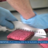 La France interdit les dénominations steak, escalope ou jambon pour les produits végétaux