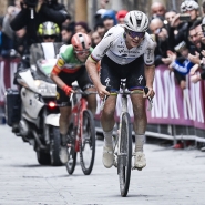 belgaimage-87855838_copie