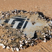 Le vol MH370