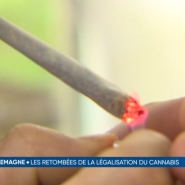 Seuls 35% des Belges sont favorables à la légalisation du cannabis