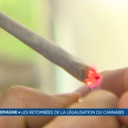 Selon le grand baromètre RTL info/Ipsos/Le Soir, seuls 35% des Belges sont favorables à la légalisation du cannabis. Selon les spécialistes, la mesure aurait pourtant beaucoup d'avantages.