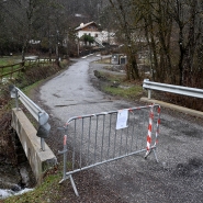 Digital subscriber edition