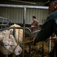 A la campagne, les déserts médicaux concernent aussi les vétérinaires