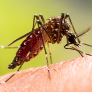 maquette_nouvelle_app_arrondis_v5