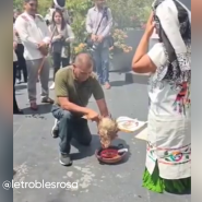 maquette_nouvelle_app_arrondis_v6