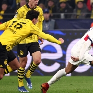 belgaimage-82308970_copie