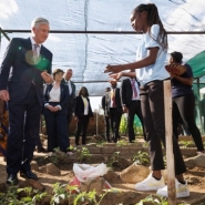 Le Roi Philippe se familiarise avec la culture de pommes de terre