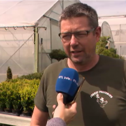 L’un des nuisibles les plus redoutés, en cette période de l'année, c'est la pyrale du buis. Un papillon d’origine asiatique dont les chenilles attaquent les arbustes en un temps record.