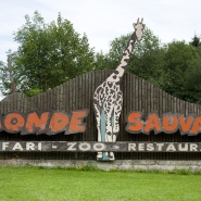 onde-sauvage-daillwa