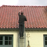 Vous pensez peut-être à démousser votre toiture. Les sociétés spécialisées (en démoussage de toitures) et sérieuses ont un carnet de commandes bien rempli.