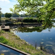 Vingt-six sites de baignade en plein air ouverts cet été en Wallonie