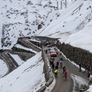 belgaimage-3947955_copie