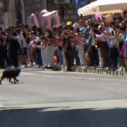 grab_20240514_162959_912_copie