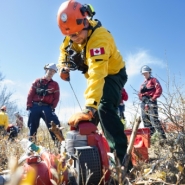 Avant une saison des feux redoutée, le Canada forme ses nouveaux pompiers