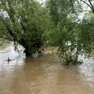 microsoftteams-image_2