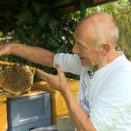 Edizione per abbonati digitali