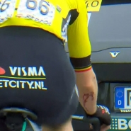 wout-van-aert-tour-de-norvege-2024-chute
