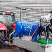 agriculteurs-bruxelles