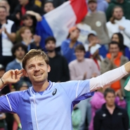 goffin