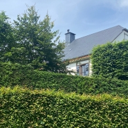 whatsapp_image_2024-06-04_at_12