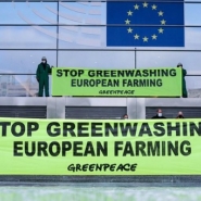 Les ressources manquent pour sanctionner le greenwashing en Europe, selon un rapport