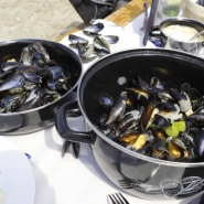 Les fortes précipitations font du tort aux récoltes de moules de Zélande