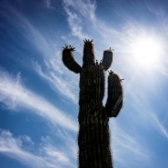 Une vague de chaleur précoce bat des records dans l'ouest des Etats-Unis